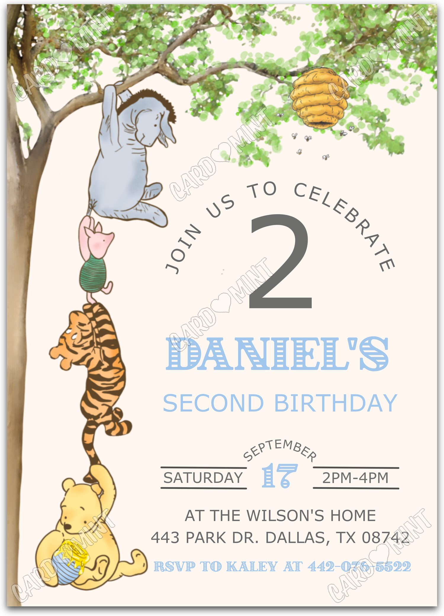 Editable Winnie & Friends peach blue hunnypot boy Birthday Party 5"x7" Invitation EV1815